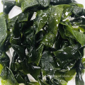 Produto natural salgado kelp nó